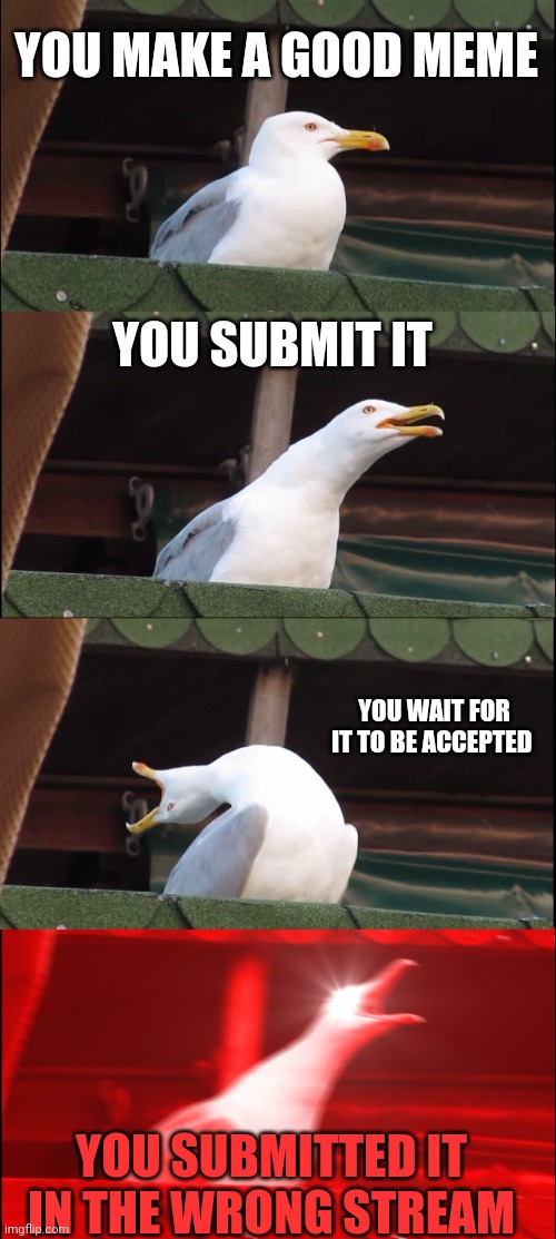 Watch me submit this in the Warrior Cats stream | YOU MAKE A GOOD MEME; YOU SUBMIT IT; YOU WAIT FOR IT TO BE ACCEPTED; YOU SUBMITTED IT IN THE WRONG STREAM | image tagged in memes,inhaling seagull | made w/ Imgflip meme maker