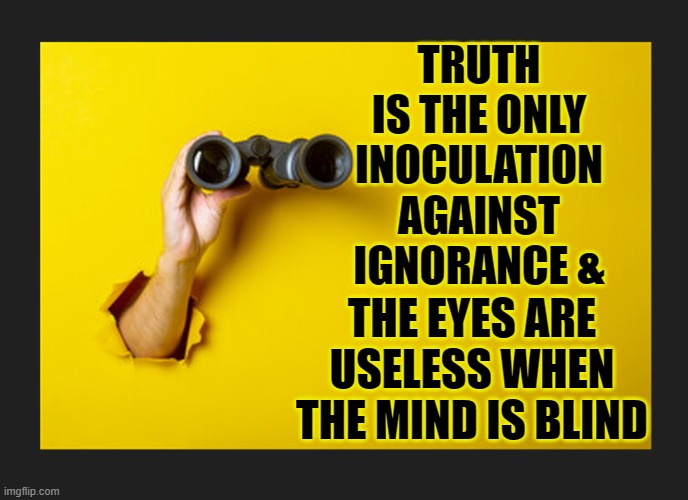 TRUTH IS BEAUTIFUL | TRUTH IS THE ONLY INOCULATION AGAINST IGNORANCE &; THE EYES ARE USELESS WHEN THE MIND IS BLIND | image tagged in political meme,that would be great,truth,ignorance | made w/ Imgflip meme maker