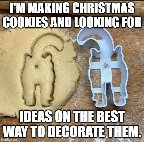 meme by  Brad cat Christmas cookies | I'M MAKING CHRISTMAS COOKIES AND LOOKING FOR; IDEAS ON THE BEST WAY TO DECORATE THEM. | image tagged in animals | made w/ Imgflip meme maker