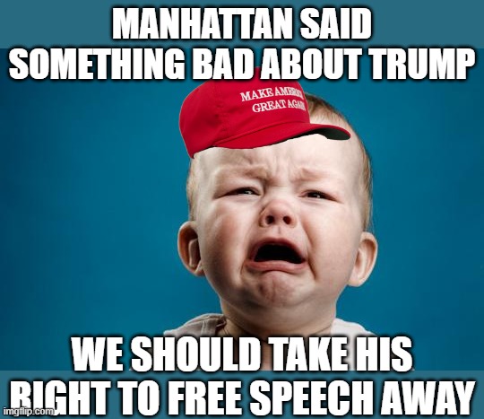 BABY CRYING | MANHATTAN SAID SOMETHING BAD ABOUT TRUMP WE SHOULD TAKE HIS RIGHT TO FREE SPEECH AWAY | image tagged in baby crying | made w/ Imgflip meme maker