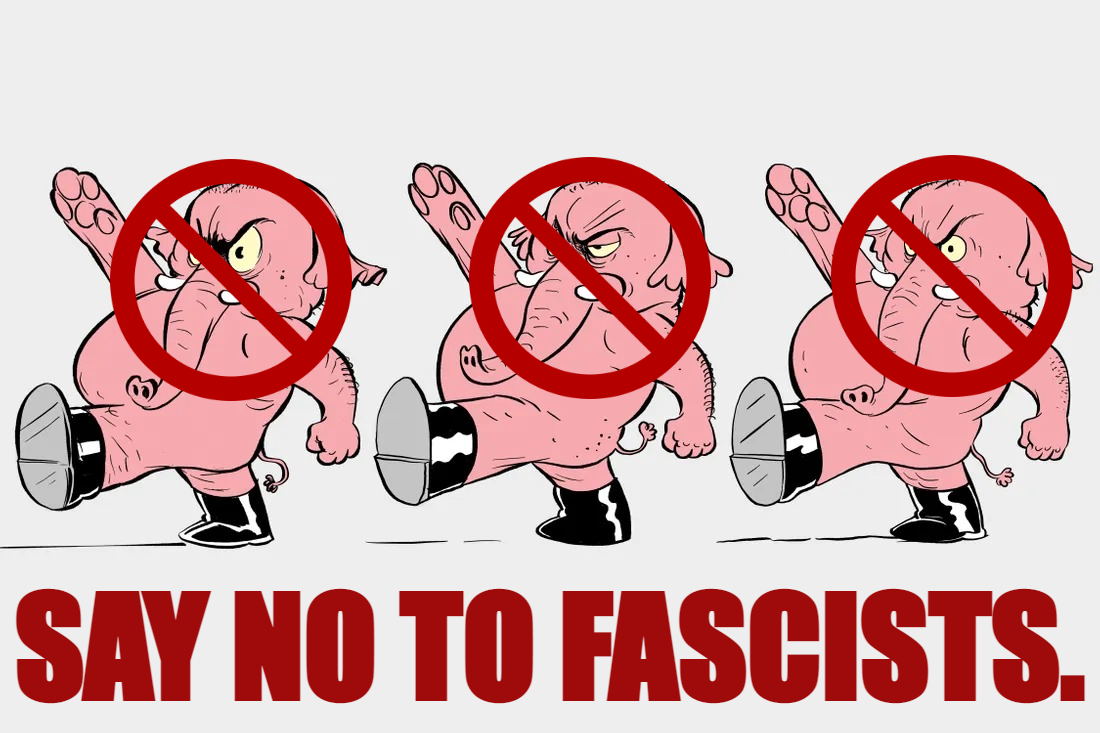 Say no to fascists Blank Meme Template