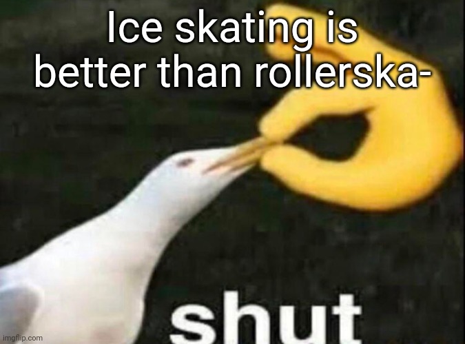 SHUT | Ice skating is better than rollerska- | image tagged in shut | made w/ Imgflip meme maker