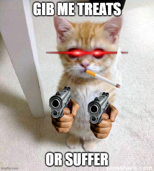 (English version) of 彼におやつをあげるaka gib him treats |  GIB ME TREATS; OR SUFFER | image tagged in memes,cute cat | made w/ Imgflip meme maker