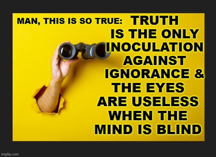 IGNORANCE IS NOT BLISSFUL |  THE EYES ARE USELESS WHEN THE MIND IS BLIND; TRUTH IS THE ONLY INOCULATION AGAINST IGNORANCE &; MAN, THIS IS SO TRUE: | image tagged in truth,knowledge is power,aww his last words | made w/ Imgflip meme maker