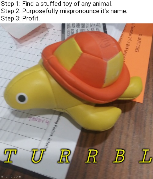Step 1: Find a stuffed toy of any animal.
Step 2: Purposefully mispronounce it's name.
Step 3: Profit. T U R R B L | image tagged in i like turtles,memes | made w/ Imgflip meme maker
