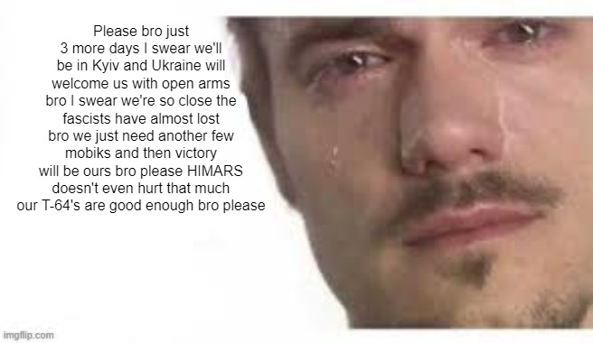 Bro Please Bro | Please bro just 3 more days I swear we'll be in Kyiv and Ukraine will welcome us with open arms bro I swear we're so close the fascists have almost lost bro we just need another few mobiks and then victory will be ours bro please HIMARS doesn't even hurt that much our T-64's are good enough bro please | image tagged in bro please bro | made w/ Imgflip meme maker