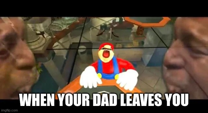 Crying Mario | WHEN YOUR DAD LEAVES YOU | image tagged in crying mario | made w/ Imgflip meme maker