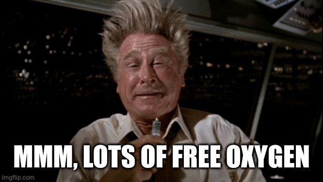 Lloyd Bridges Airplane | MMM, LOTS OF FREE OXYGEN | image tagged in lloyd bridges airplane | made w/ Imgflip meme maker