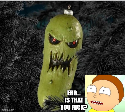 pickle rick evil form | ERR...
IS THAT
YOU RICK? | image tagged in rick and morty | made w/ Imgflip meme maker