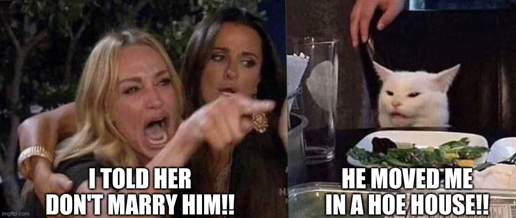 woman yelling at cat |  I TOLD HER DON'T MARRY HIM!! HE MOVED ME IN A HOE HOUSE!! | image tagged in woman yelling at cat | made w/ Imgflip meme maker