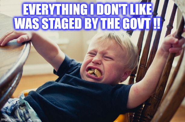 Toddler Tantrum | EVERYTHING I DON'T LIKE WAS STAGED BY THE GOVT !! | image tagged in toddler tantrum | made w/ Imgflip meme maker