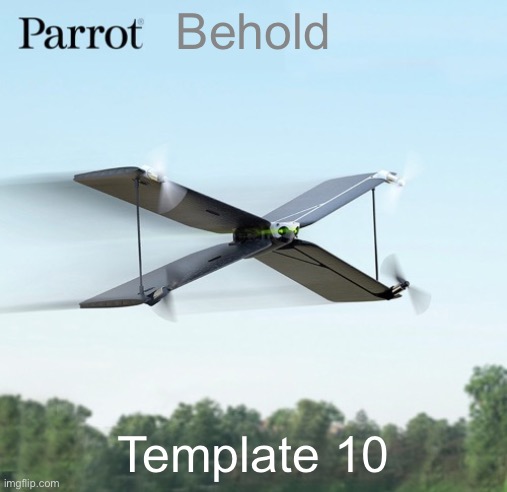 Parrot | Behold; Template 10 | image tagged in parrot | made w/ Imgflip meme maker