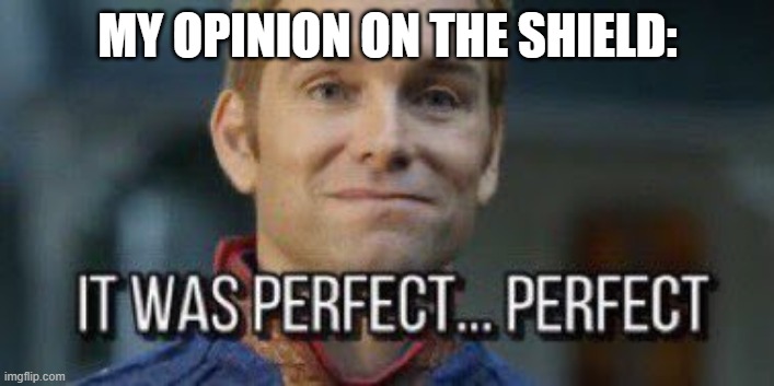 it was perfect... perfect | MY OPINION ON THE SHIELD: | image tagged in it was perfect perfect | made w/ Imgflip meme maker