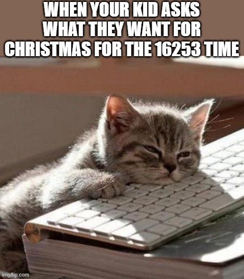 SILENCE! OR YOU GET NOTHING | WHEN YOUR KID ASKS WHAT THEY WANT FOR CHRISTMAS FOR THE 16253 TIME | image tagged in tired cat,christmas,christmas presents,funny,memes | made w/ Imgflip meme maker