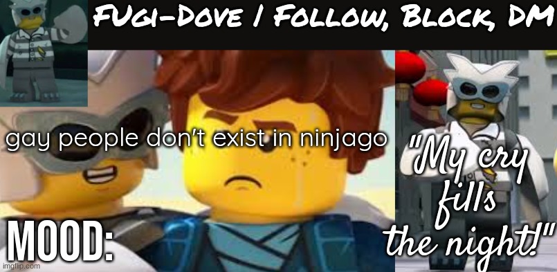 W show | gay people don't exist in ninjago | image tagged in fugi-dove template 1 1 | made w/ Imgflip meme maker