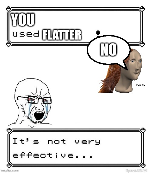 Well? | YOU; FLATTER; NO | image tagged in pokemon attack not very effective | made w/ Imgflip meme maker