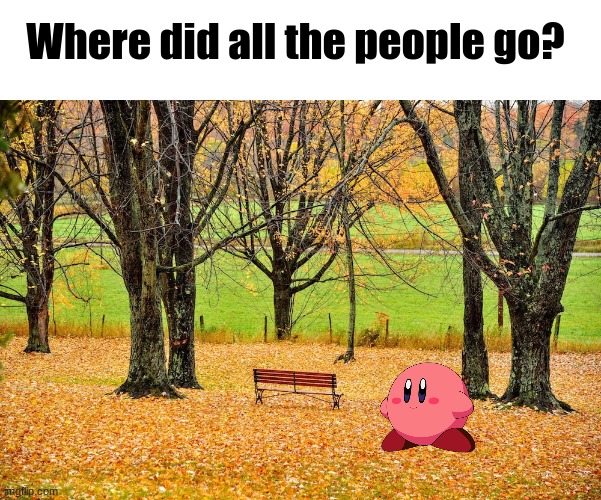 I thought parks were supposed to be full of people... | Where did all the people go? | image tagged in kirby,park,empty | made w/ Imgflip meme maker