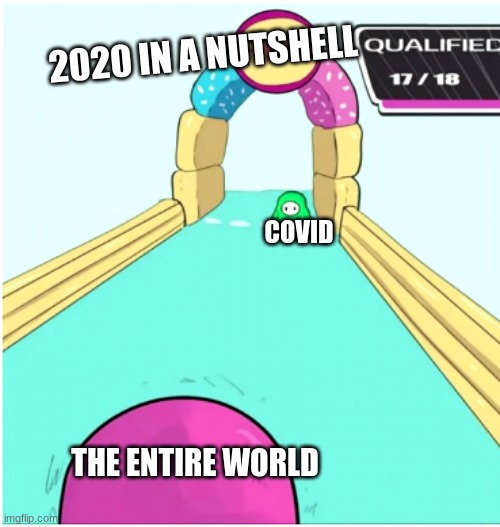 Idk | 2020 IN A NUTSHELL; COVID; THE ENTIRE WORLD | image tagged in fall guys qualifying | made w/ Imgflip meme maker