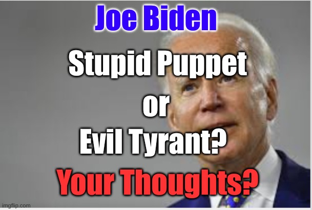  Joe Biden; Stupid Puppet; or; Evil Tyrant? Your Thoughts? | image tagged in biden,puppet,tyrant | made w/ Imgflip meme maker