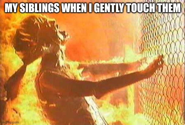 Anyone else here had a sibling who would always scream when they get touched? | MY SIBLINGS WHEN I GENTLY TOUCH THEM | image tagged in terminator nuke | made w/ Imgflip meme maker