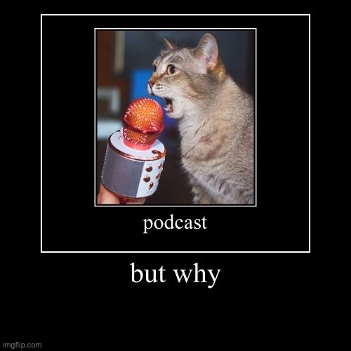 The podcast cate | image tagged in funny,demotivationals,cat | made w/ Imgflip demotivational maker