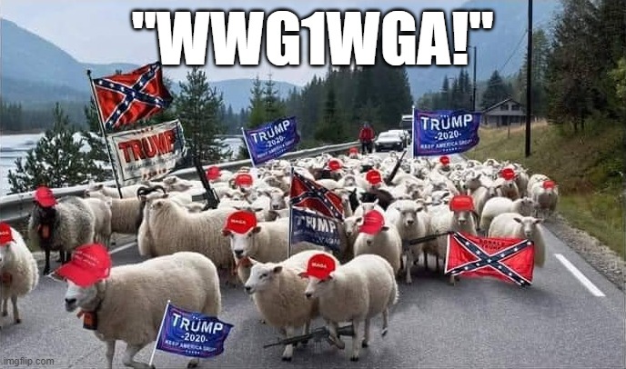 bruh | "WWG1WGA!" | image tagged in trump supporters sheeple | made w/ Imgflip meme maker