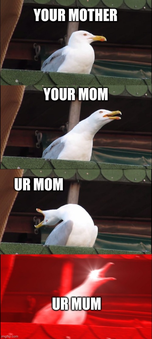 ur mum evolution | YOUR MOTHER; YOUR MOM; UR MOM; UR MUM | image tagged in memes,inhaling seagull | made w/ Imgflip meme maker