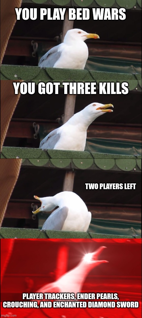 Inhaling Seagull | YOU PLAY BED WARS; YOU GOT THREE KILLS; TWO PLAYERS LEFT; PLAYER TRACKERS, ENDER PEARLS, CROUCHING, AND ENCHANTED DIAMOND SWORD | image tagged in memes,inhaling seagull | made w/ Imgflip meme maker