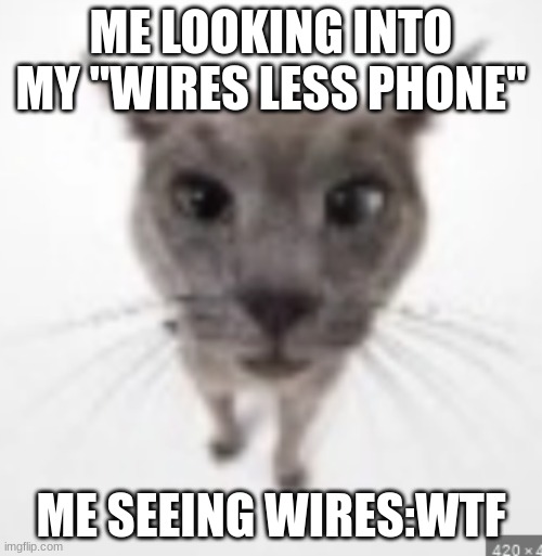 real |  ME LOOKING INTO MY "WIRES LESS PHONE"; ME SEEING WIRES:WTF | image tagged in reality | made w/ Imgflip meme maker