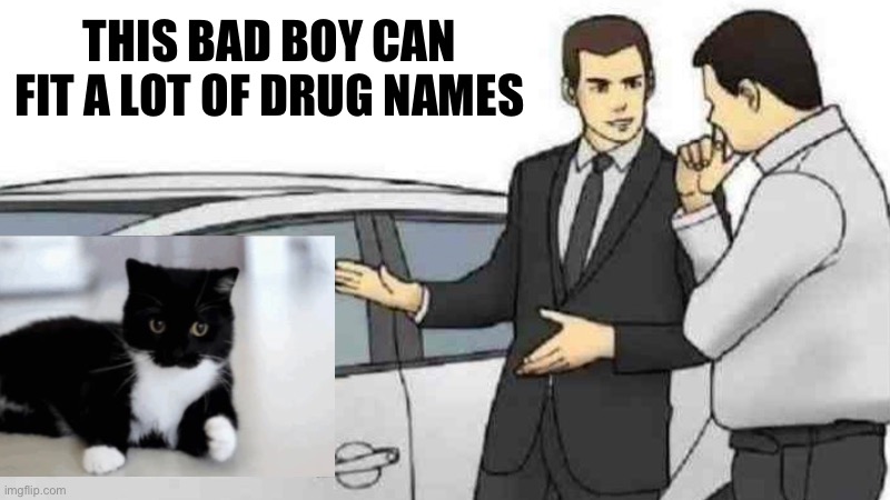 When yoyr | THIS BAD BOY CAN FIT A LOT OF DRUG NAMES | image tagged in memes,car salesman slaps roof of car,balls,semenpiss | made w/ Imgflip meme maker