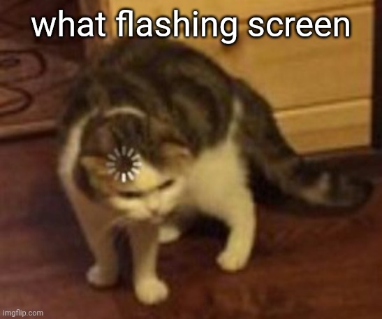 Loading cat | what flashing screen | image tagged in loading cat | made w/ Imgflip meme maker