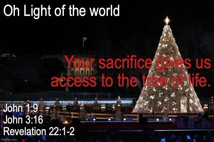 Emmanuel | Oh Light of the world; Your sacrifice gives us access to the tree of life. John 1:9
John 3:16
Revelation 22:1-2 | image tagged in isaiah chapter 7 verse 14,isaiah ch 8 vs 8,matthew ch 1 vs 23 | made w/ Imgflip meme maker