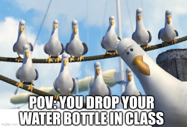 Finding Nemo Seagulls | POV: YOU DROP YOUR WATER BOTTLE IN CLASS | image tagged in finding nemo seagulls | made w/ Imgflip meme maker