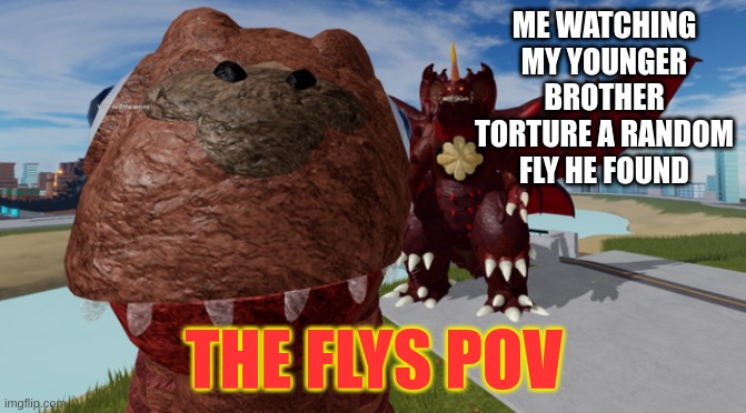 ME WATCHING MY YOUNGER BROTHER TORTURE A RANDOM FLY HE FOUND; THE FLYS POV | image tagged in fun | made w/ Imgflip meme maker