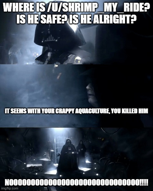 Darth Vader Where is Padme? Is she safe? Is she alright? | WHERE IS /U/SHRIMP_MY_RIDE? IS HE SAFE? IS HE ALRIGHT? IT SEEMS WITH YOUR CRAPPY AQUACULTURE, YOU KILLED HIM; NOOOOOOOOOOOOOOOOOOOOOOOOOOOOOO!!!! | image tagged in darth vader where is padme is she safe is she alright | made w/ Imgflip meme maker