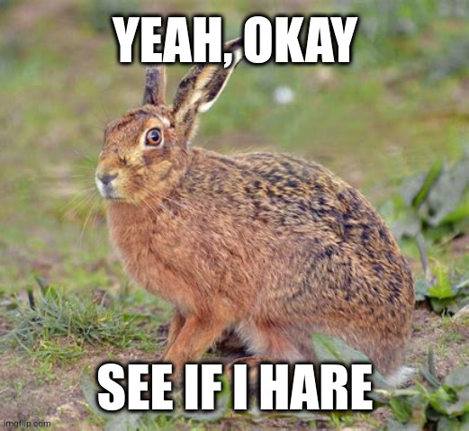 see if I hare | YEAH, OKAY; SEE IF I HARE | image tagged in yeah | made w/ Imgflip meme maker