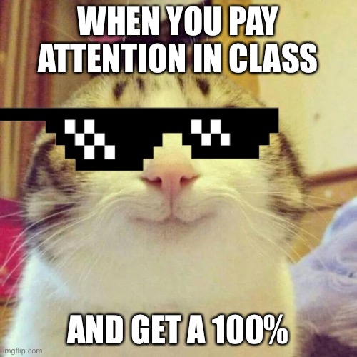 School Memes | WHEN YOU PAY ATTENTION IN CLASS; AND GET A 100% | image tagged in school memes | made w/ Imgflip meme maker