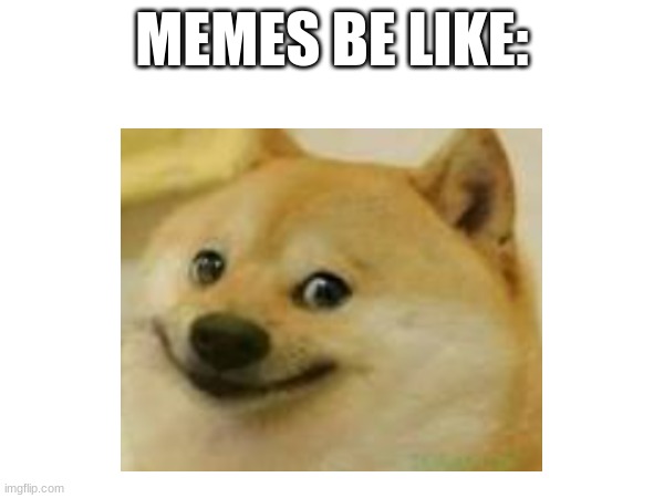 Doges and Memes | MEMES BE LIKE: | image tagged in funny | made w/ Imgflip meme maker