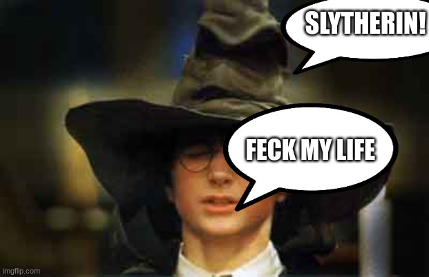 Harry Potter sorting hat | SLYTHERIN! FECK MY LIFE | image tagged in harry potter sorting hat,one does not simply,harry potter meme | made w/ Imgflip meme maker
