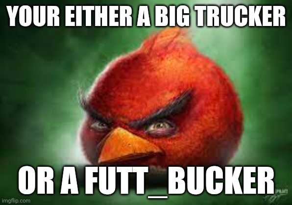 Realistic Red Angry Birds | YOUR EITHER A BIG TRUCKER; OR A FUTT_BUCKER | image tagged in realistic red angry birds | made w/ Imgflip meme maker