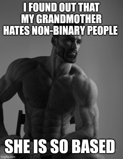 Giga Chad | I FOUND OUT THAT MY GRANDMOTHER HATES NON-BINARY PEOPLE; SHE IS SO BASED | image tagged in giga chad | made w/ Imgflip meme maker