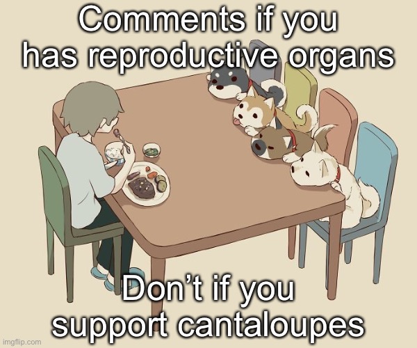 Avogado6 | Comments if you has reproductive organs; Don’t if you support cantaloupes | image tagged in avogado6 | made w/ Imgflip meme maker