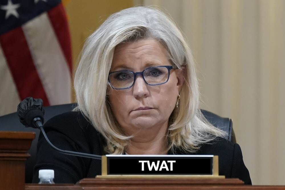 How do YOU spell Liz Cheney? | TWAT | image tagged in liz cheney,twat,grammar nazi | made w/ Imgflip meme maker
