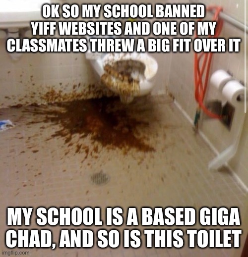 Balls (also he’s in detention ?) | OK SO MY SCHOOL BANNED YIFF WEBSITES AND ONE OF MY CLASSMATES THREW A BIG FIT OVER IT; MY SCHOOL IS A BASED GIGA CHAD, AND SO IS THIS TOILET | image tagged in based,balls,baller | made w/ Imgflip meme maker