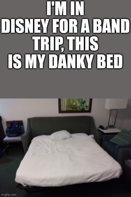 It was either this or share a bed, so- | I'M IN DISNEY FOR A BAND TRIP, THIS IS MY DANKY BED | made w/ Imgflip meme maker