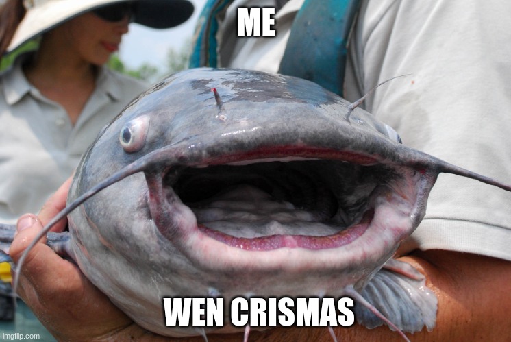 fish | ME; WEN CRISMAS | image tagged in catfish | made w/ Imgflip meme maker