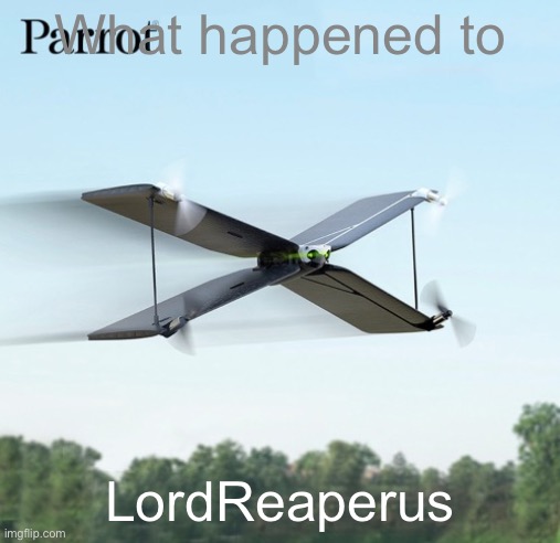 Parrot | What happened to; LordReaperus | image tagged in parrot | made w/ Imgflip meme maker
