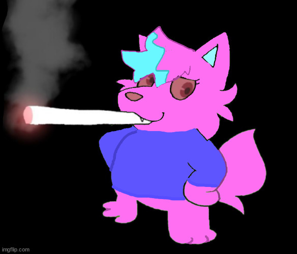 kitty weed | image tagged in kitty weed | made w/ Imgflip meme maker