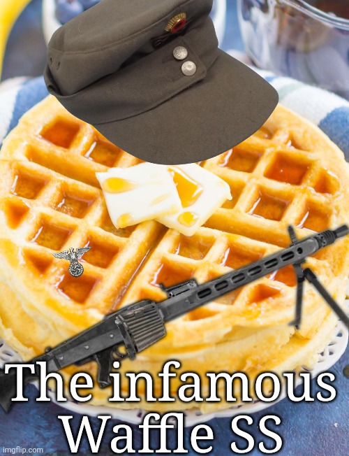 How to make Jewish people feel uncomfortable part 83638-$"#'2'+#'-SYSTEM ERROR | The infamous Waffle SS | image tagged in waffles | made w/ Imgflip meme maker