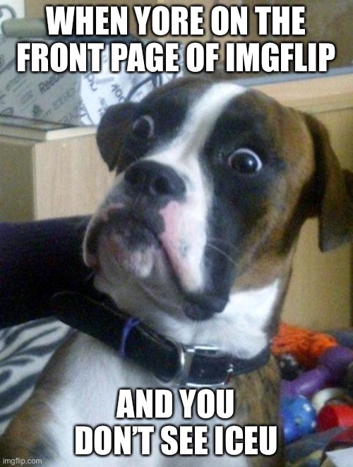 Suprised Boxer | WHEN YORE ON THE FRONT PAGE OF IMGFLIP AND YOU DON’T SEE ICEU | image tagged in suprised boxer | made w/ Imgflip meme maker